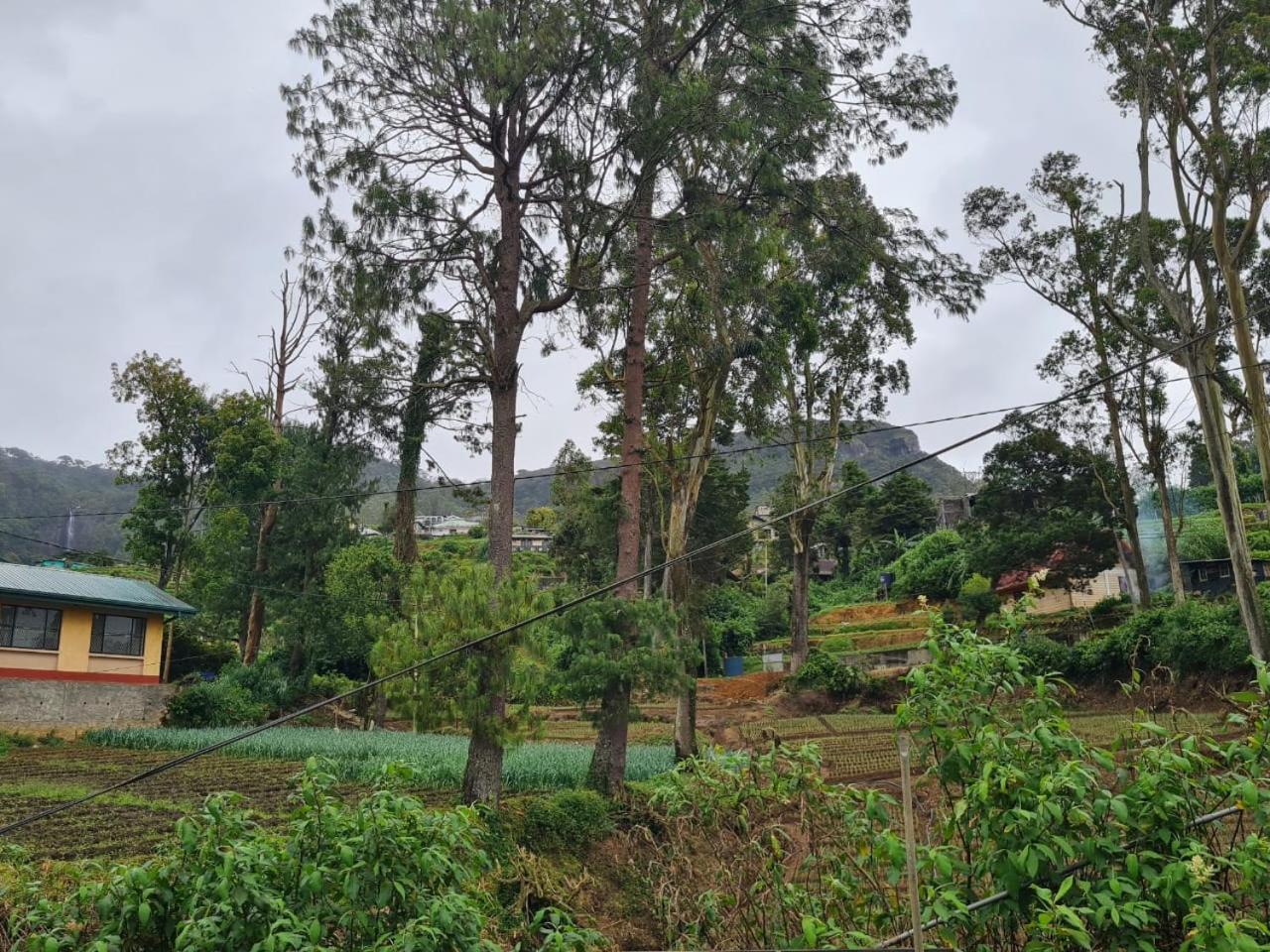 Sasru Holiday Home Nuwara Eliya Eksteriør bilde